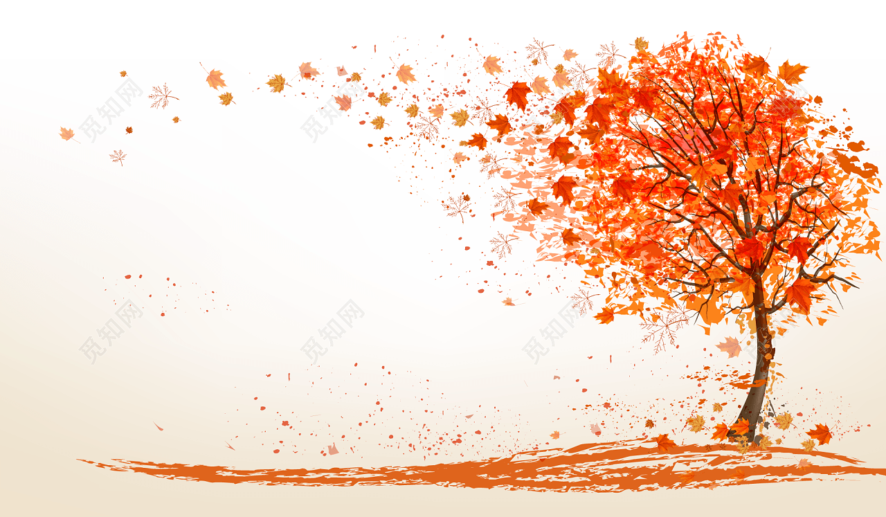 红色落叶树背景图
