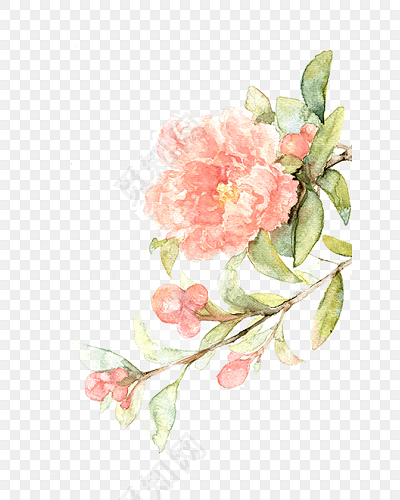 古风手绘素雅古典花素材