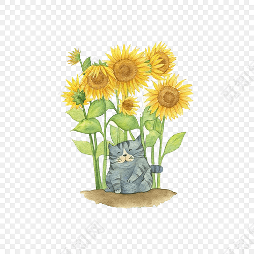 手绘向日葵