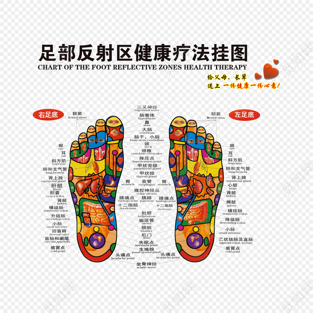 足部健康疗法挂图