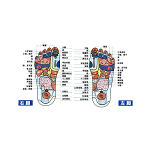 脚部经络图