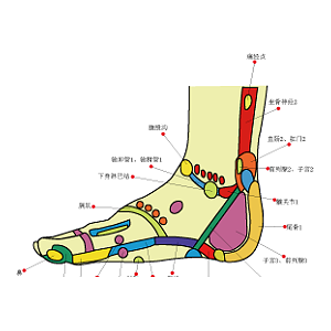 经络素材