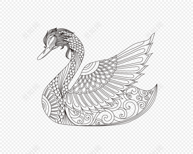 线描天鹅素材