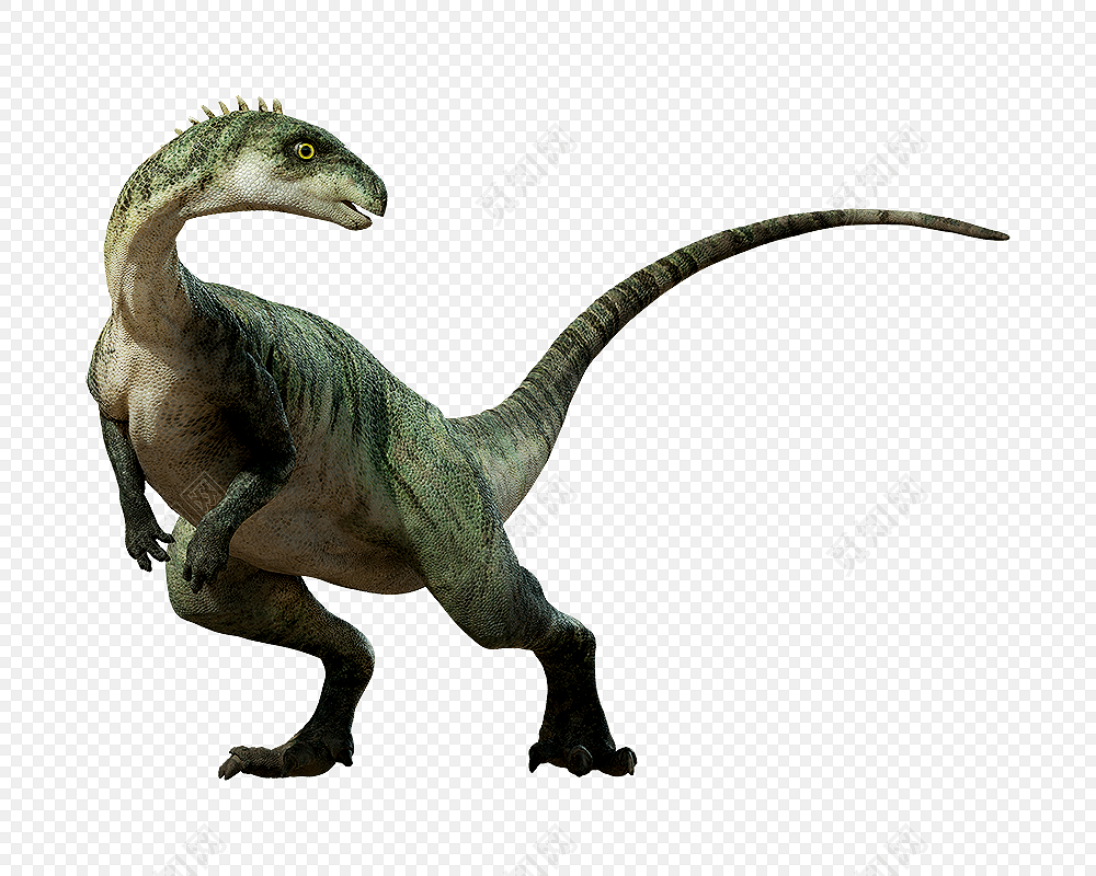 高清免抠彩色恐龙素材