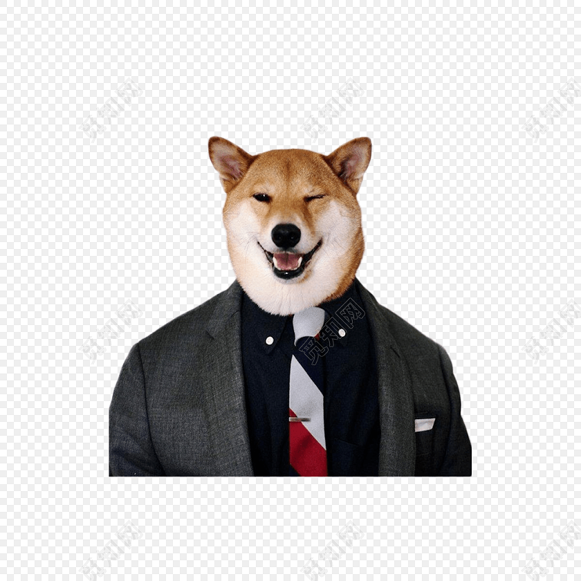 狗头西服西装