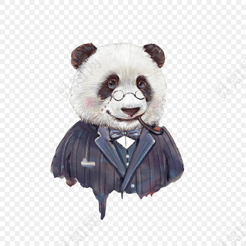 熊猫动物西服西装招聘素材