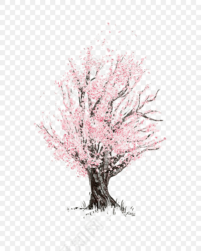 手绘樱花树矢量插画