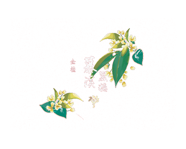 金桂花手绘