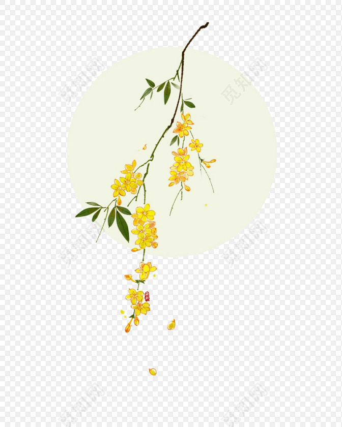 桂花树