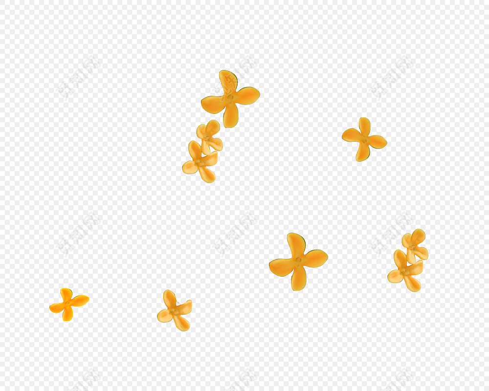桂花