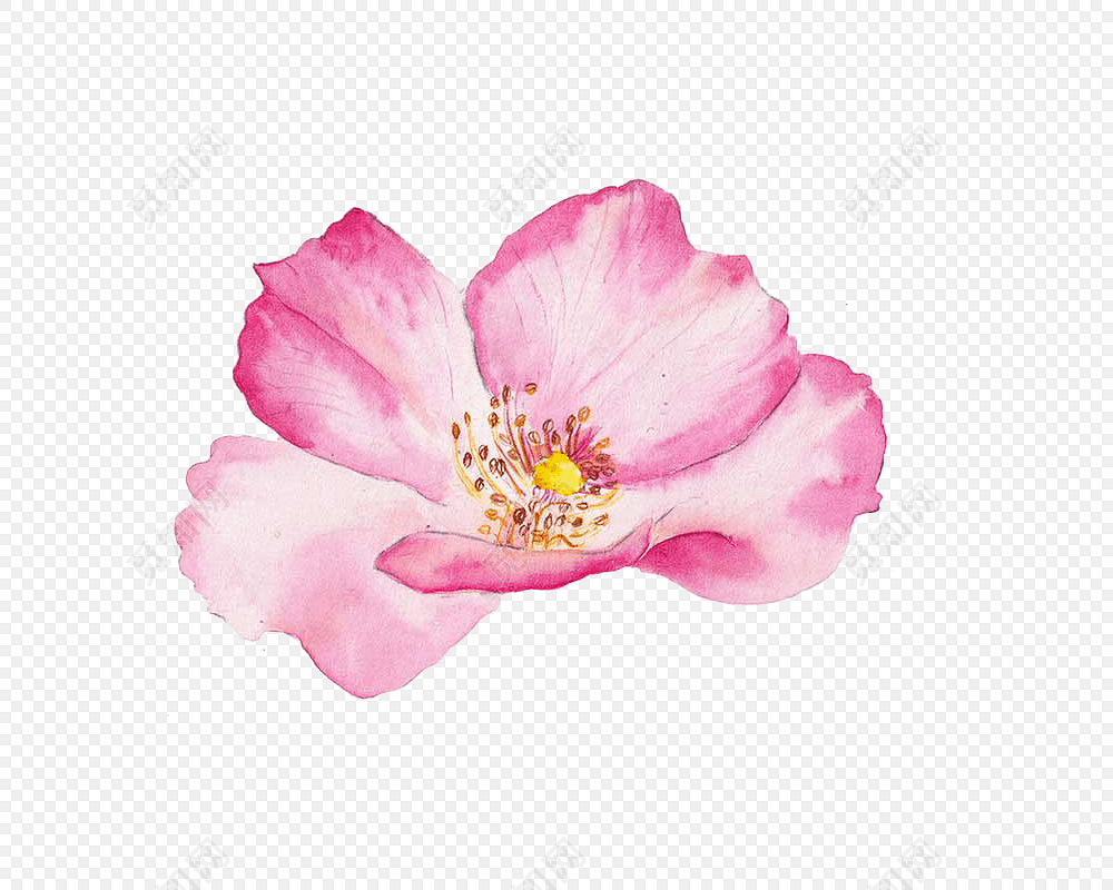 手绘桃花