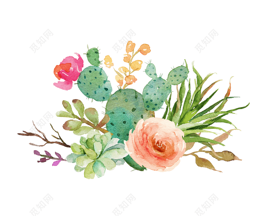 水彩手绘花朵花卉装饰素材png