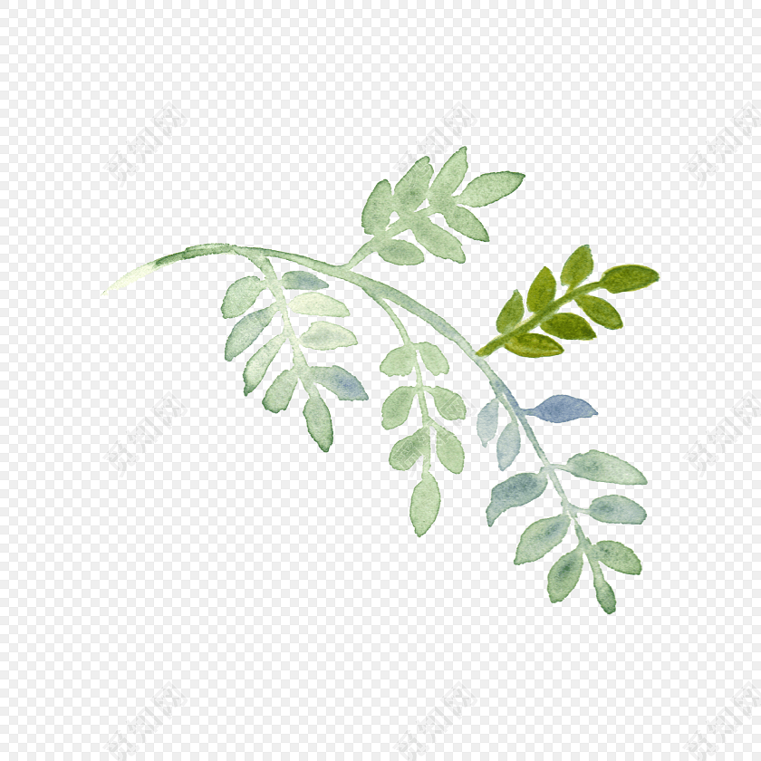 卡通手绘小清新绿叶树枝设计素材