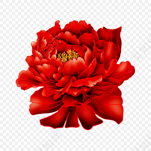 大红色鲜艳牡丹花设计素材