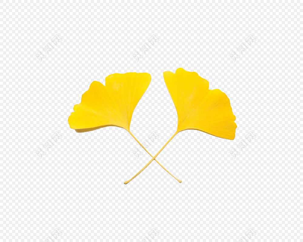 png png pngزҶʸͼǩ: ز ͨ