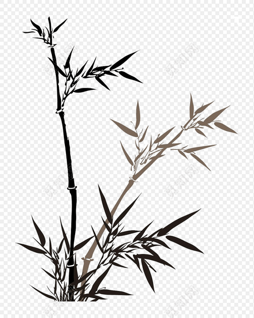 pngز ˮīԼдزıǩ:  ز ŷ