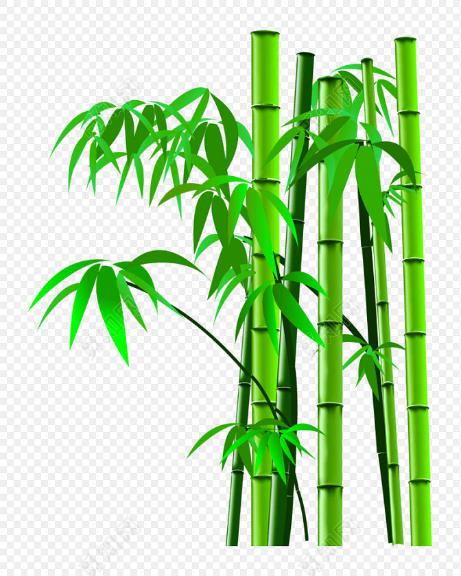 绿色手绘小清新竹子免抠素材