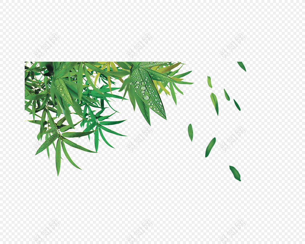 СӿͨͼƬ ͨͼƬȫɰ