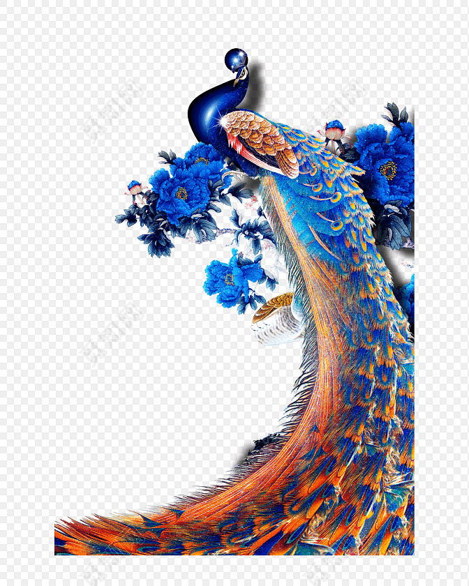 手绘高傲孔雀插画素材