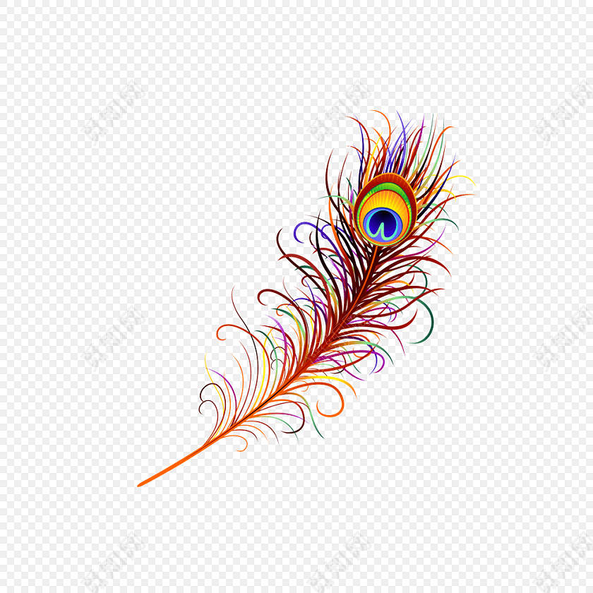 七彩孔雀羽毛插画素材