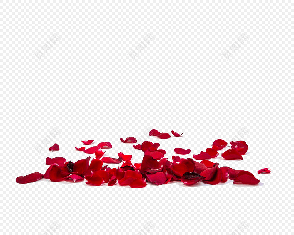 玫瑰花瓣