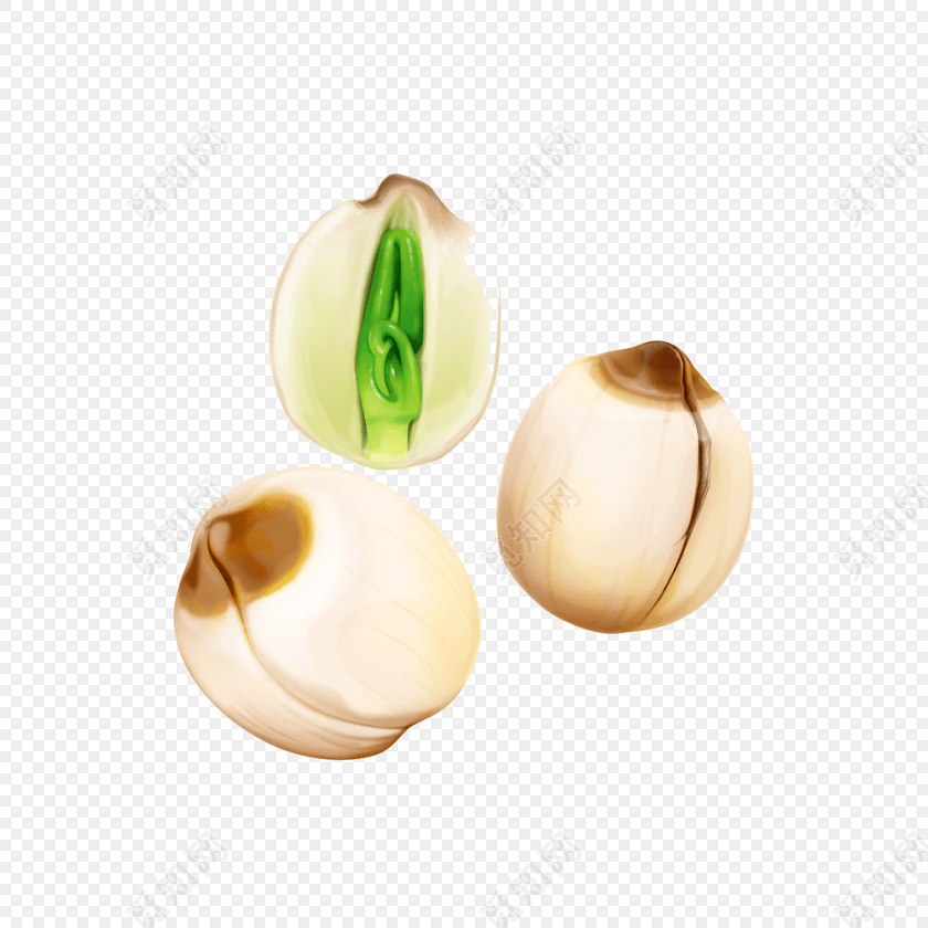 莲子免费下载_png素材_觅知网
