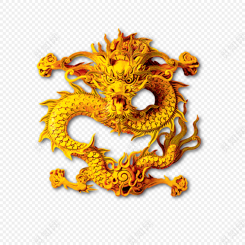 金龙