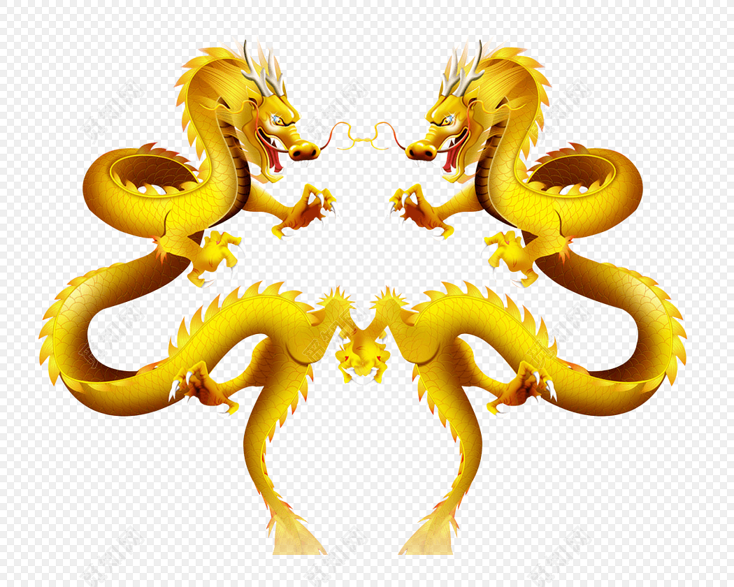 金龙