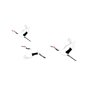 手绘鸟类仙鹤中国风插画素材