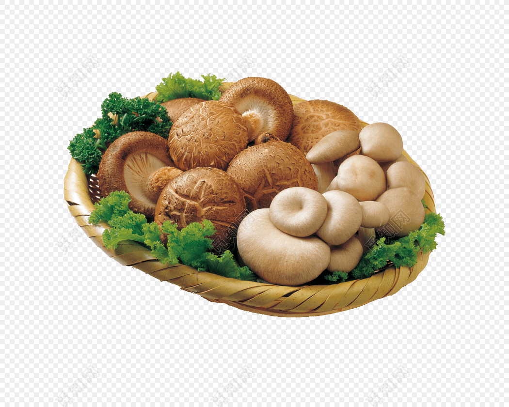土豆装盘图片,土豆片摆盘花样,金针菇装盘图片_大山谷图库
