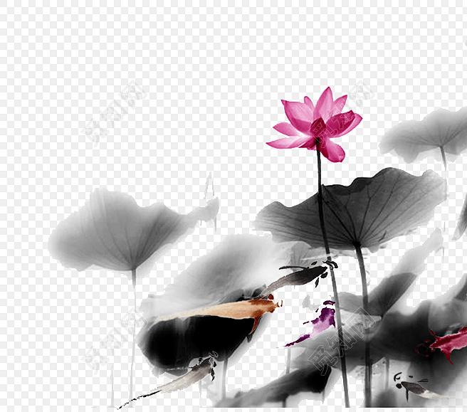 国画水墨中国风荷花廉洁素材
