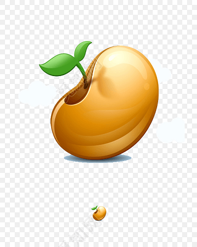 蚕豆中的嫩芽免抠素材