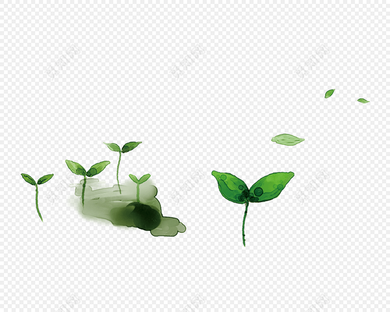发芽的小树苗免抠素材
