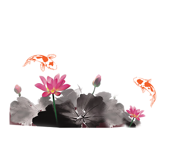 荷花鲤鱼素材
