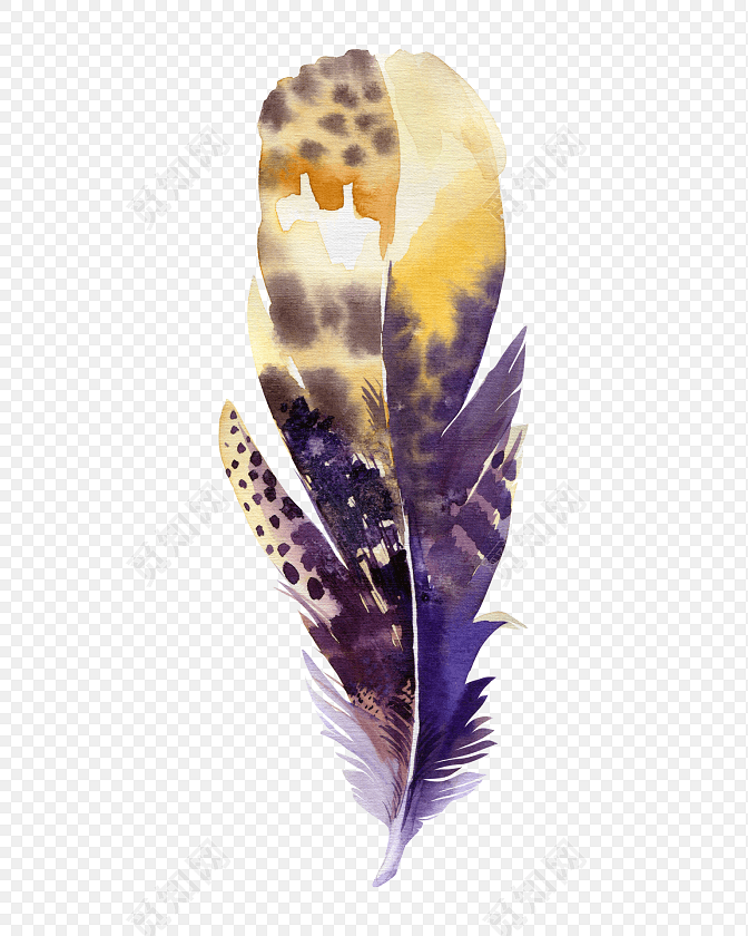 手绘水彩羽毛插画素材