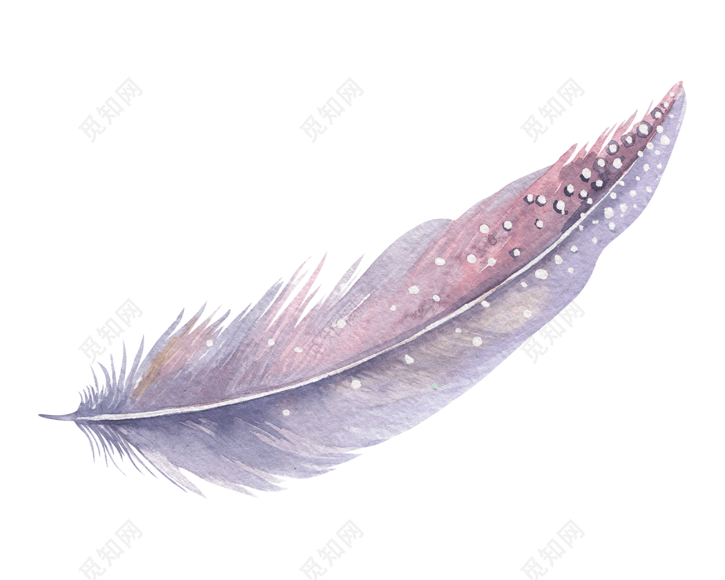 羽毛手绘水彩插画