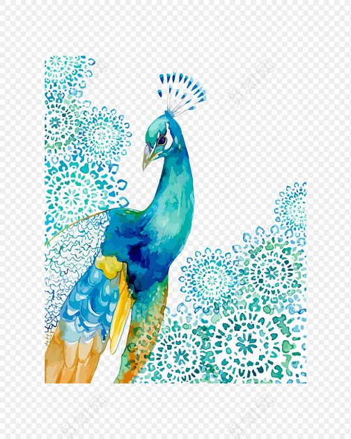 手绘水彩美丽孔雀插画素材