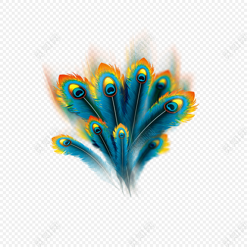 绚丽孔雀尾巴手绘插画