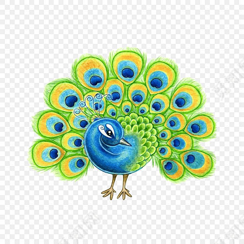 卡通孔雀开屏手绘插画素材