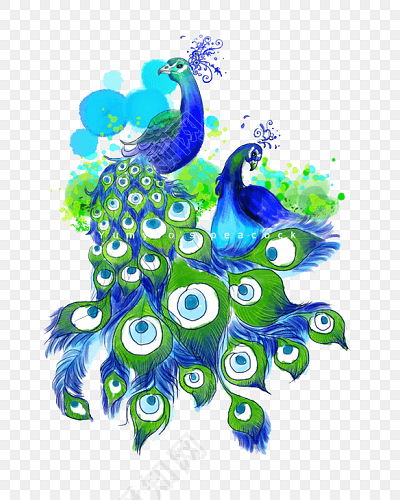 卡通手绘孔雀插画素材