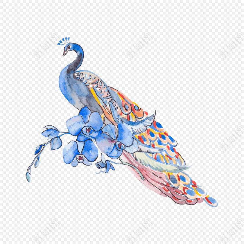 手绘水彩孔雀插画素材