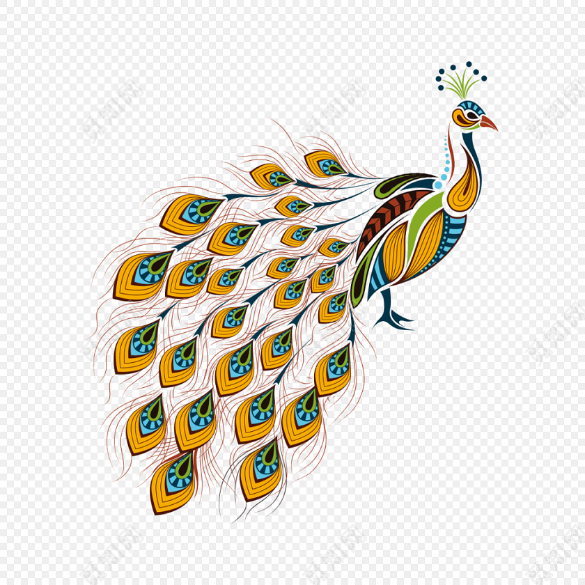 手绘卡通绚丽孔雀插画素材