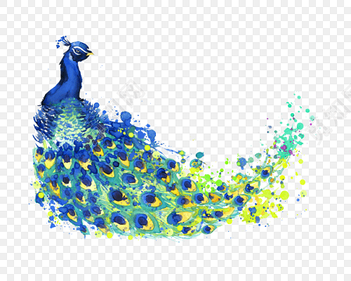 手绘水彩绚丽孔雀插画素材