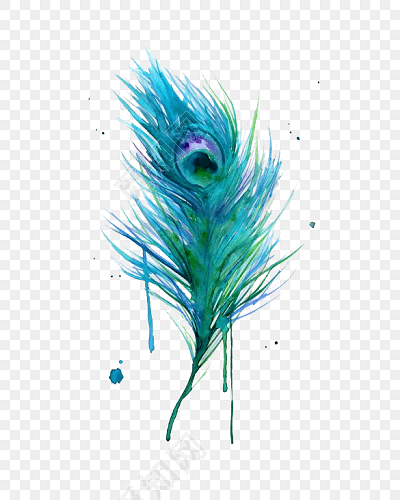 手绘孔雀尾巴羽毛水彩插画