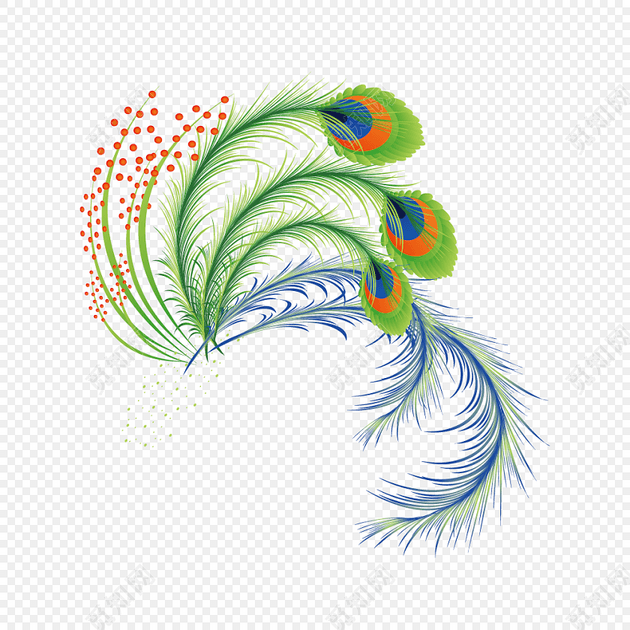 孔雀尾巴羽毛插画素材