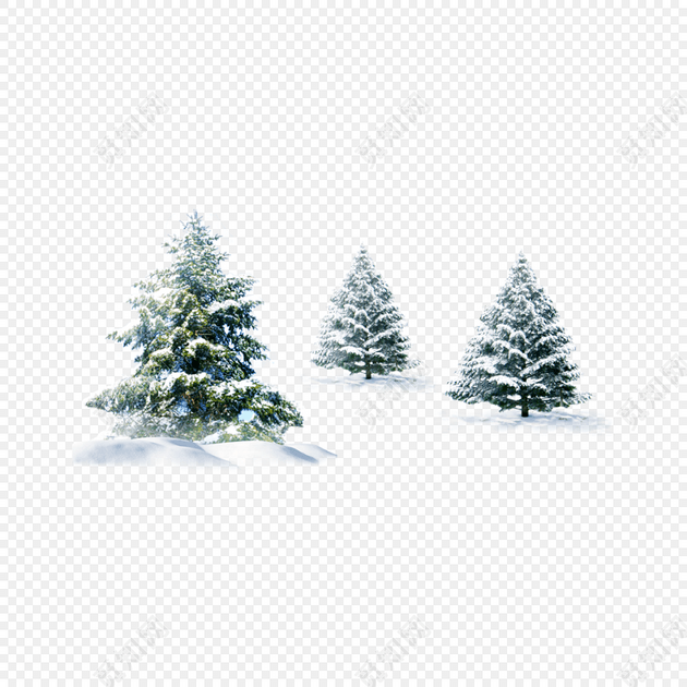 雪中松树素材