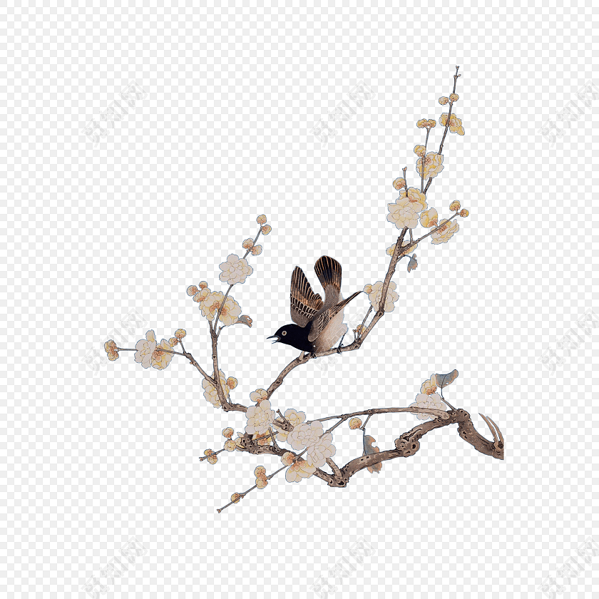 手绘工笔画梅花花鸟设计素材免费下载_png素材_觅知网
