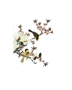 唯美古风花鸟风景素材
