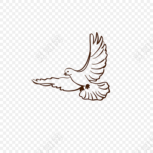 线描鸽子设计素材