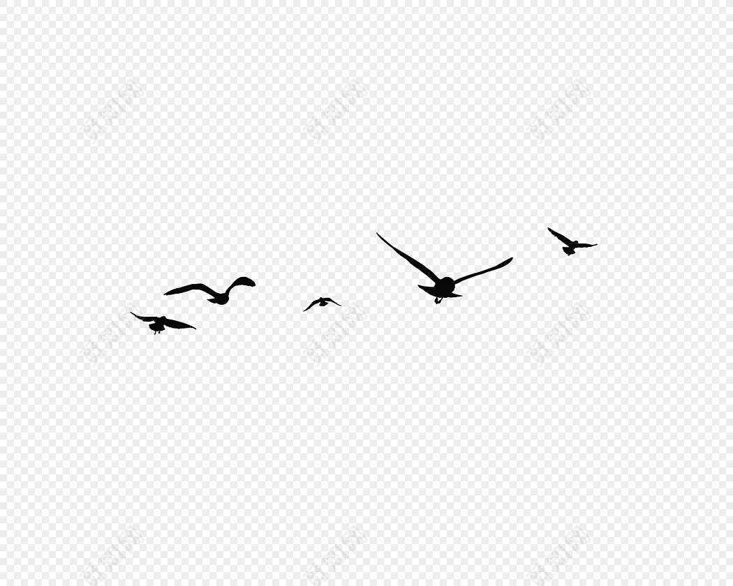 黑色海鸥鸟剪影设计素材